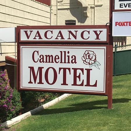 Camellia Motel Narrandera Exterior foto
